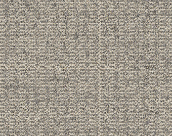 [300111138_15] Open Air 401 - 107688 Shell